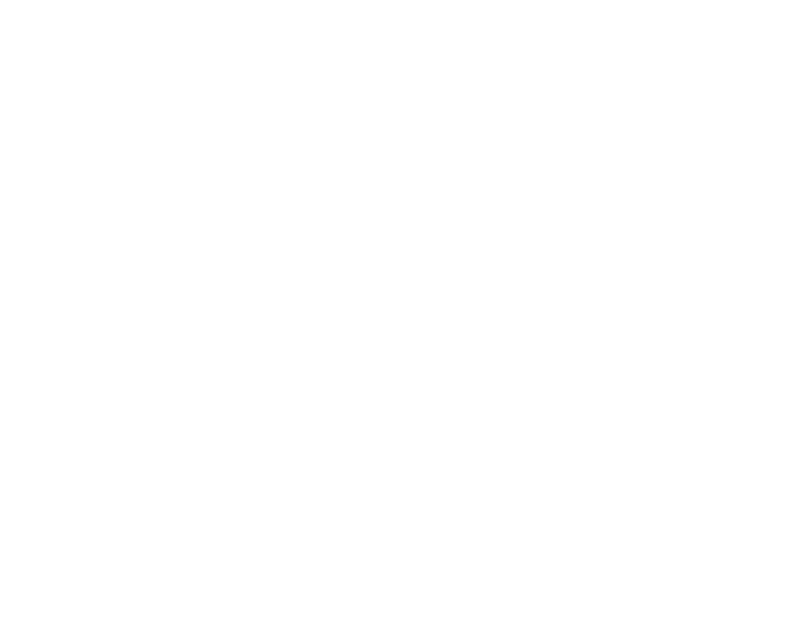 Save The Brave